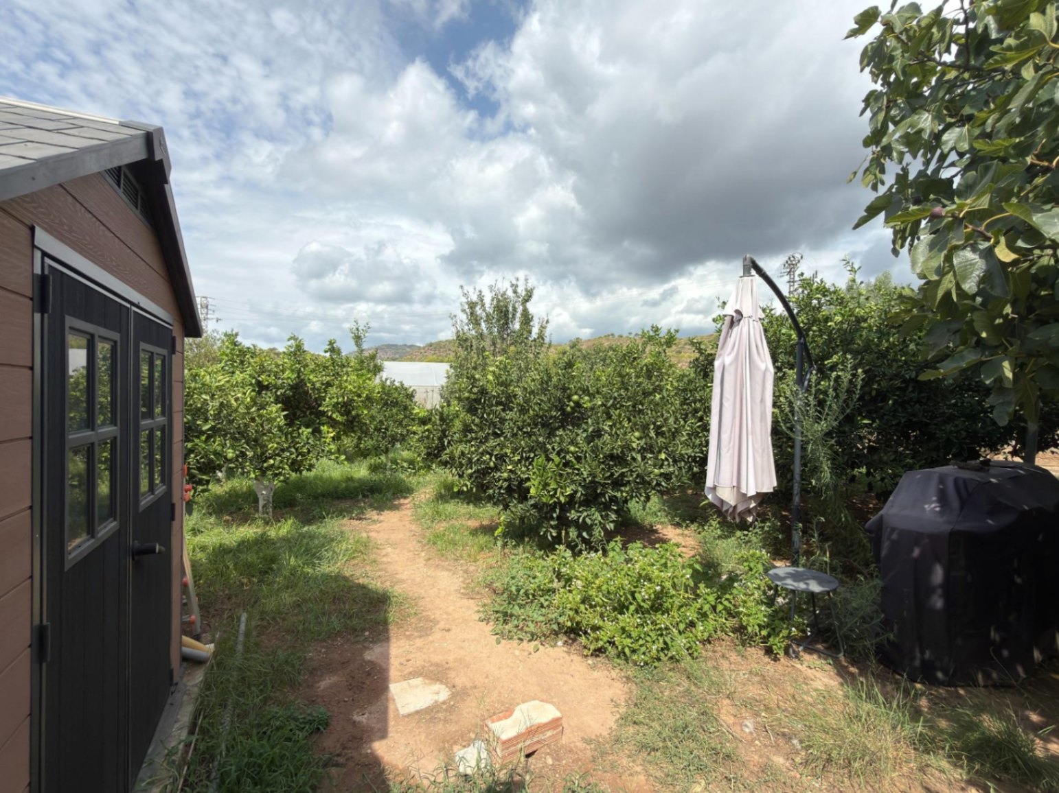 Chalet for sale with pool in Albalat dels Tarongers